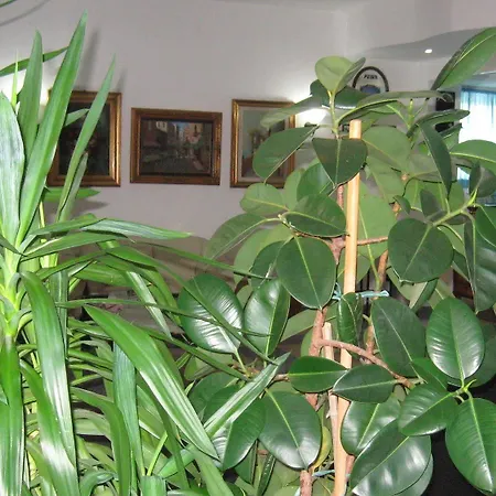 Maremonti Вико-дель-Гаргано