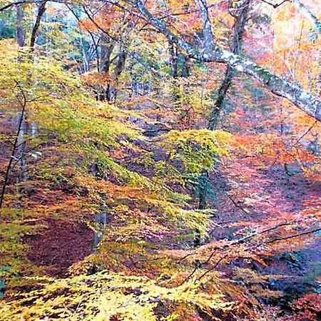 Maremonti 비코델가르가노